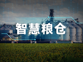 實(shí)時(shí)監(jiān)測(cè)+智能預(yù)警！松柏傳感氣體傳感器助力綠色儲(chǔ)糧