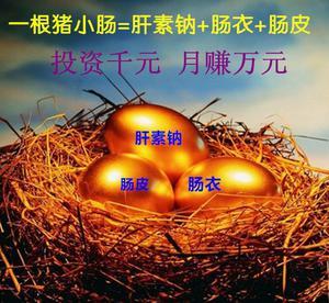 解鎖農(nóng)村創(chuàng)業(yè)新機遇 代理加盟加工鈉技術(shù)轉(zhuǎn)讓合作辦廠，產(chǎn)品包銷無憂