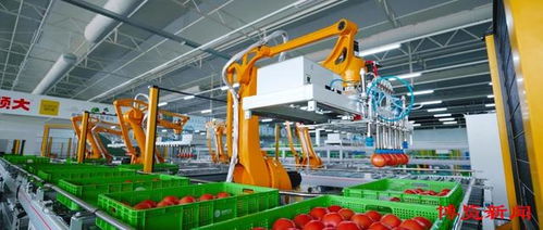 深讀淄博 智慧引領(lǐng) 淄博農(nóng)業(yè)數(shù)字化轉(zhuǎn)型加速推進(jìn)