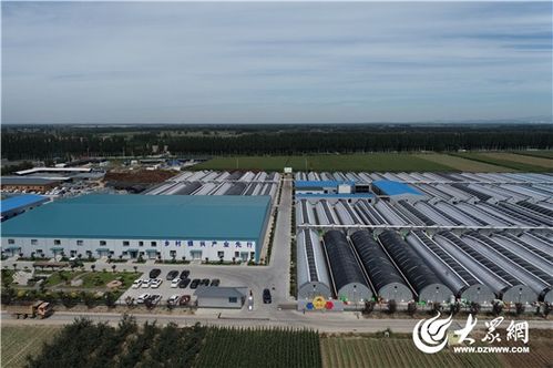 鎮 興路上 產業興,特色濃,文旅融 淄博強鎮出擊